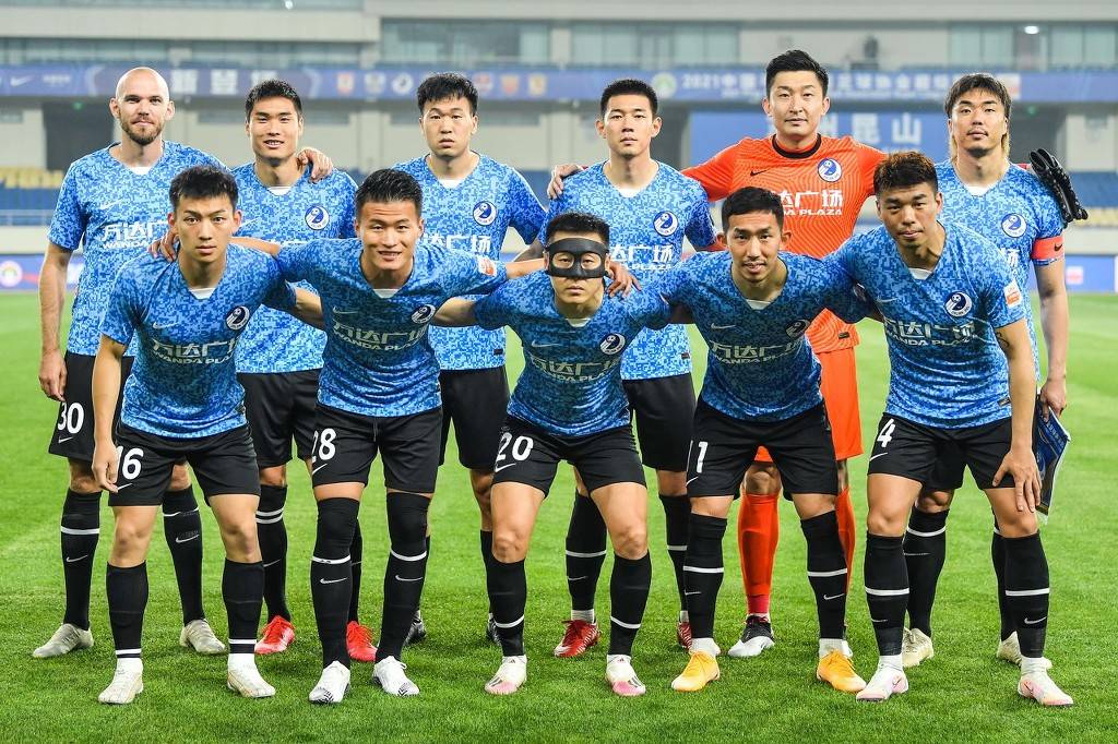 杨借助